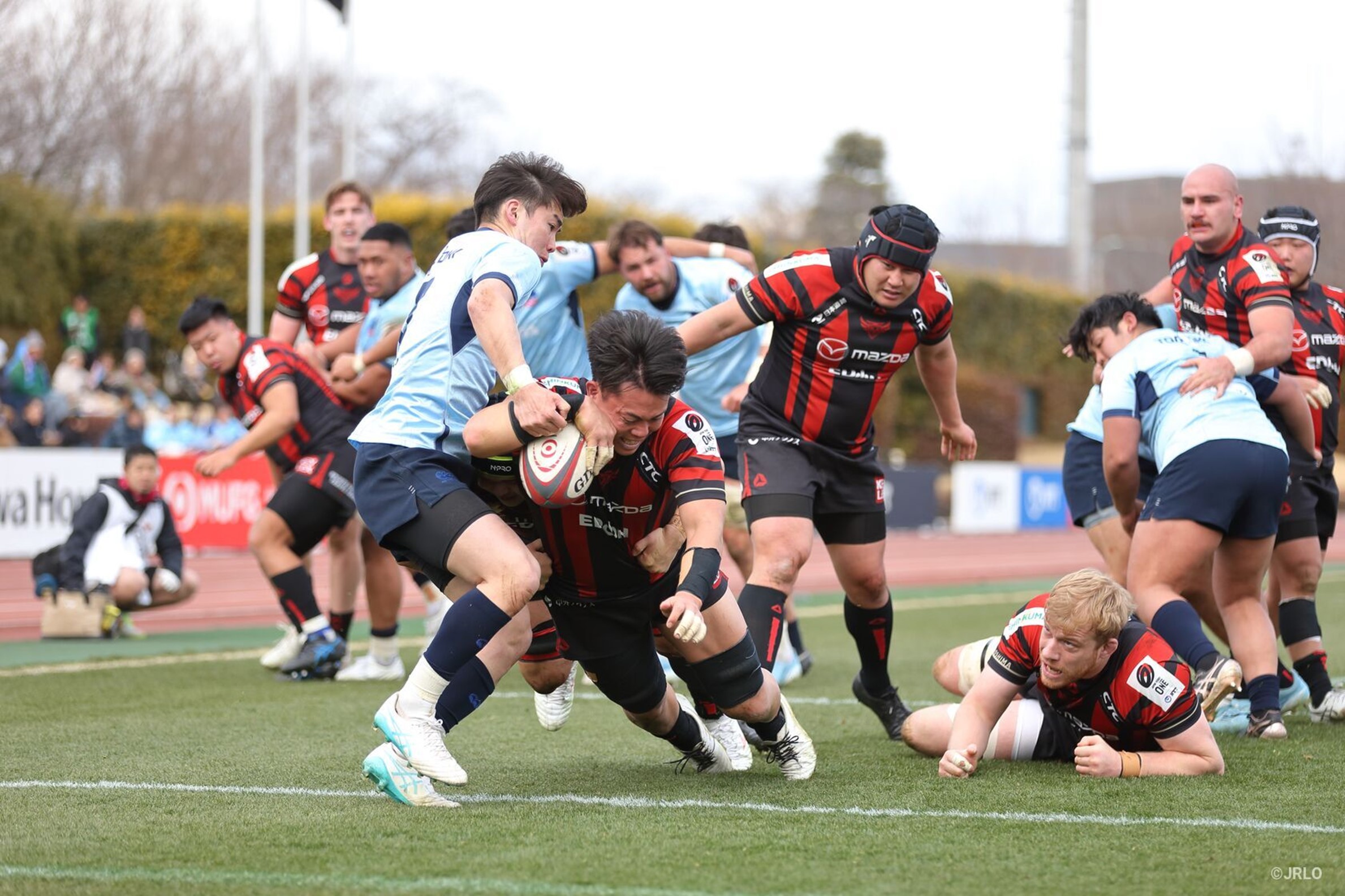 2024-2025シーズン　第7節　試合結果＜速報＞ 画像