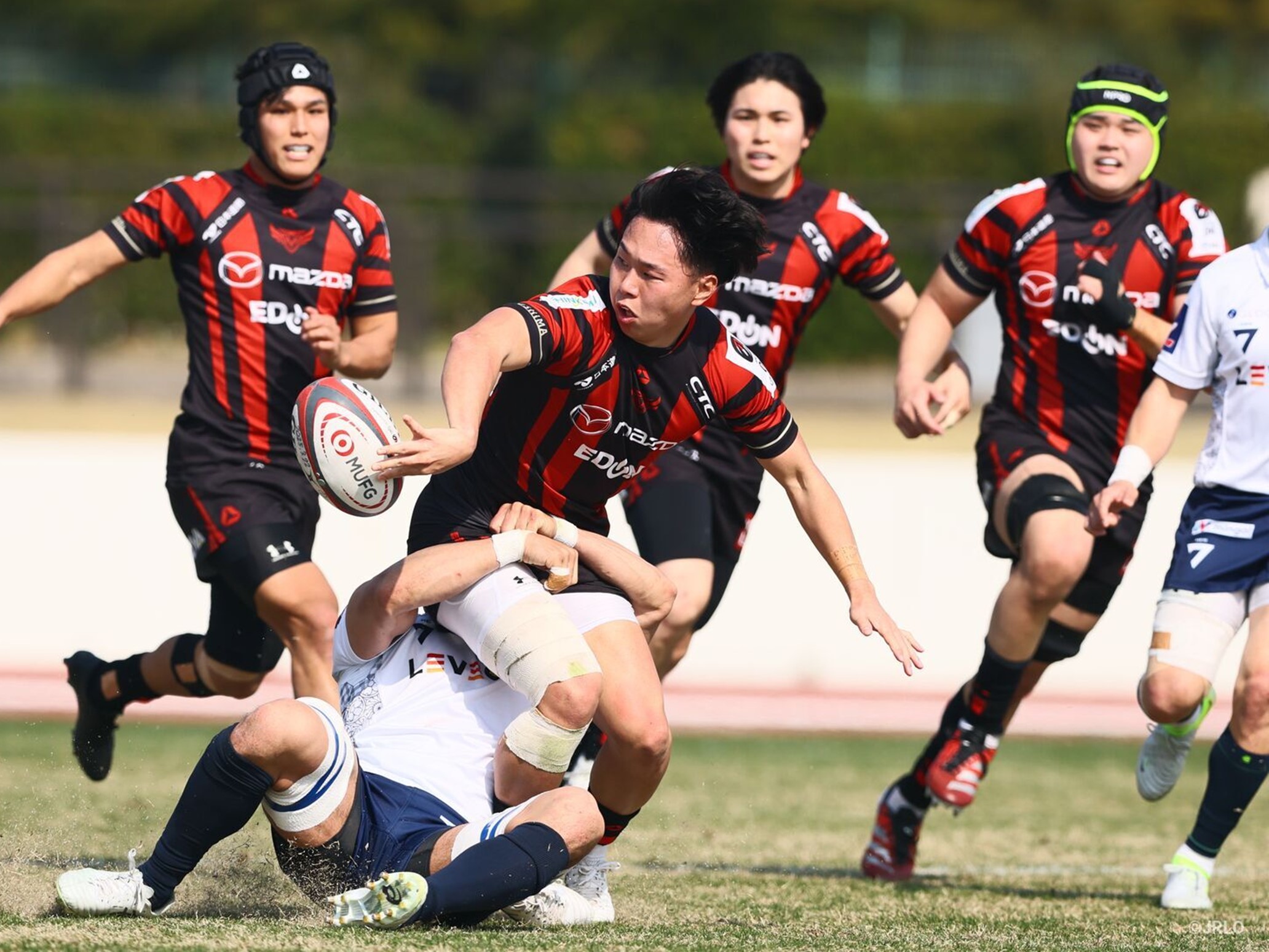 2024-2025シーズン　第10節　試合結果＜速報＞ 画像