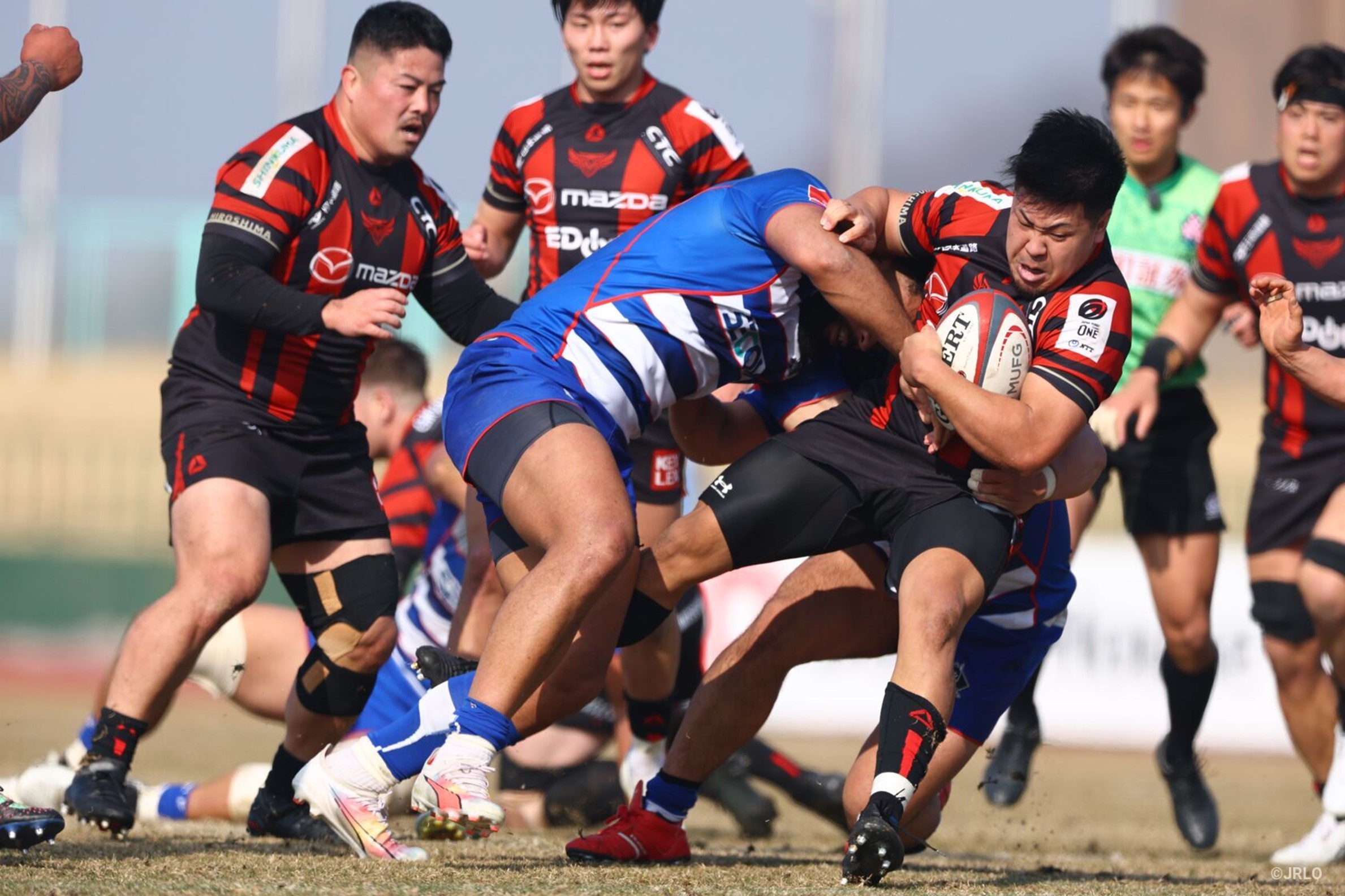 2024-2025シーズン　第８節　試合結果＜速報＞ 画像